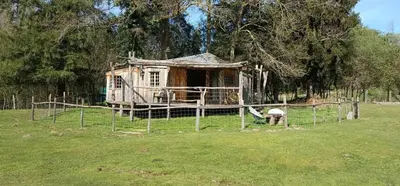Jardin de l'établissement Cabanes des Landes- cabane sur pilotis