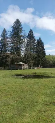 Paysage naturel près de la maison de vacances