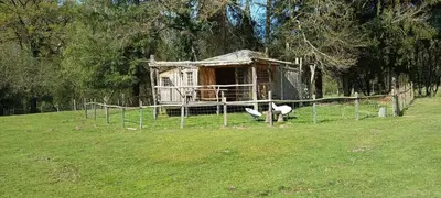 Jardin de l'établissement Cabanes des Landes- cabane sur pilotis