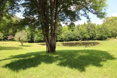 Paysage naturel près de la maison de vacances