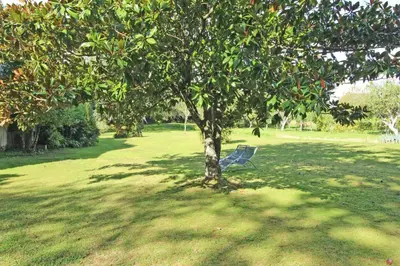 Jardin de l'établissement Bel air