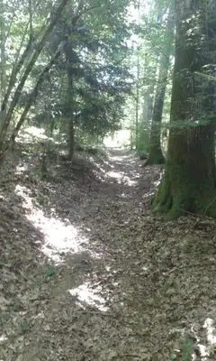 Paysage naturel près de la tente de luxe
