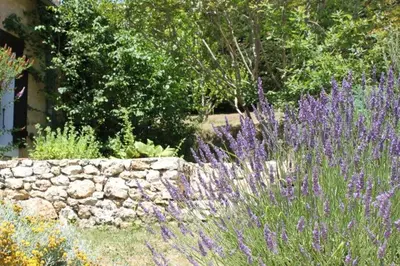Jardin de l'établissement LES TALOCHES