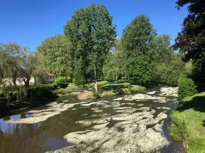 Paysage naturel près de le B&B/chambre d'hôtes