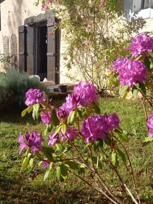 Jardin de l'établissement LES TALOCHES