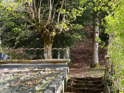 Jardin de l'établissement Villa La Butte, Appartements Chaleureux au Cœur de La Bourboule
