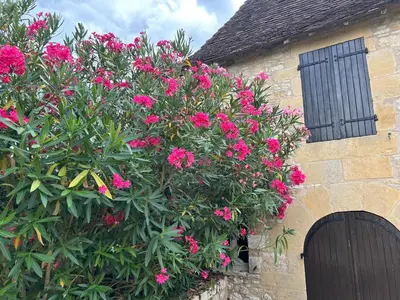 Jardin de l'établissement Demeure du Vallon - Chambres d'Hôtes de Charme