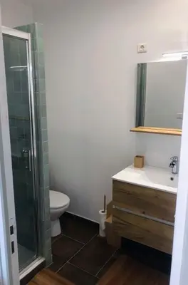 Salle de bains dans l'établissement Logement à Brive avec terrasse et climatisation - près de la gare et du centre-ville - Wifi et Stationnement gratuit
