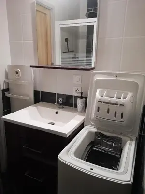 Cuisine ou kitchenette dans l'établissement Appartement idéalement situé