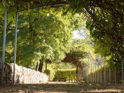 Jardin de l'établissement Le Moulin de la Maison des Templiers