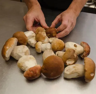 Nourriture dans le B&B/chambre d'hôtes ou à proximité