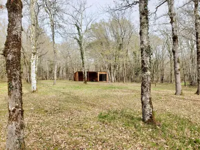 Plan de l'établissement Chambre en foret