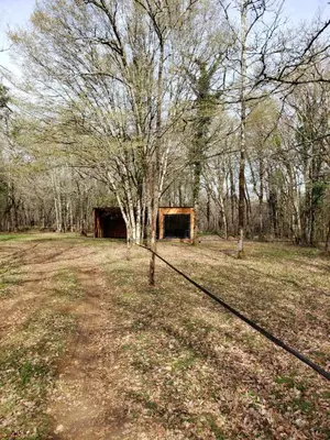 Plan de l'établissement Chambre en foret