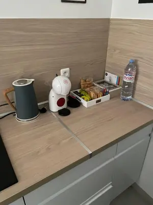 Cuisine ou kitchenette dans l'établissement Chez Julie petit appartement une chambre rez jardin maison