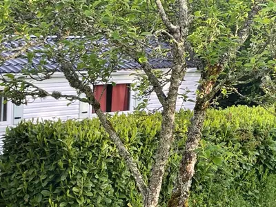 Jardin de l'établissement LA VIEILLE AUBERGE