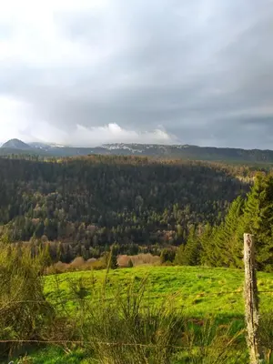 Paysage naturel près de l'appartement