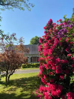 Jardin de l'établissement L'Oustal dé la Domaiséla