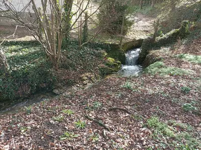 Paysage naturel près de la maison de vacances
