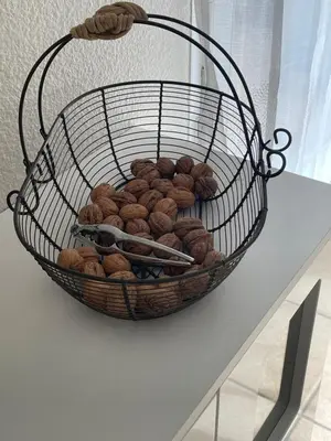 Nourriture dans l'appartement ou à proximité