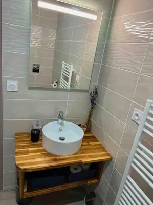 Salle de bains dans l'établissement Accueillant T2 rénové clim centre ville terrasse
