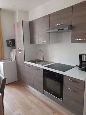 Cuisine ou kitchenette dans l'établissement Appart sans suppléments