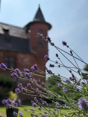 Jardin de l'établissement Château de Vassinhac chambres d'hôtes Collonges la rouge