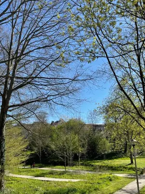 Paysage naturel près de la maison de vacances