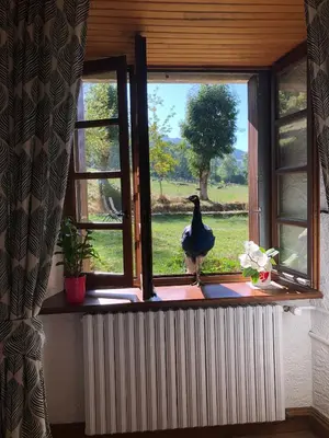 Plan de l'établissement Chambre d’hôtes de Curières