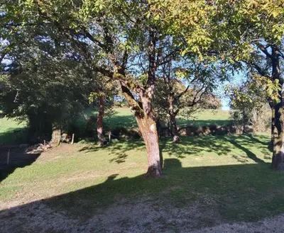 Jardin de l'établissement Le Cosy