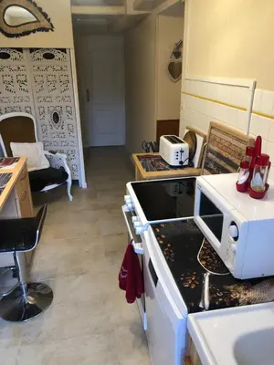 Cuisine ou kitchenette dans l'établissement ila’s tiny house