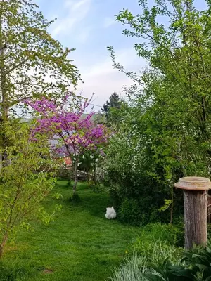 Jardin de l'établissement Chabatz d entraz