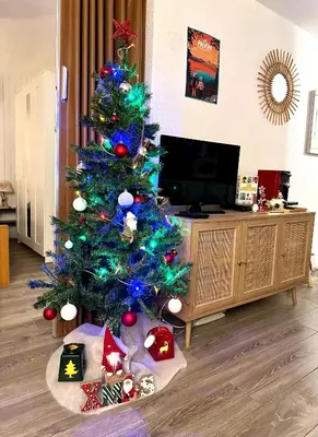 Télévision ou salle de divertissement dans l'établissement Appartement cosy Centre station de Super Besse pour 2 à 6 personnes