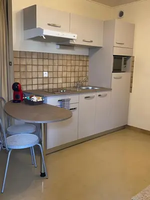 Cuisine ou kitchenette dans l'établissement Confortable et agréable T1 n 2